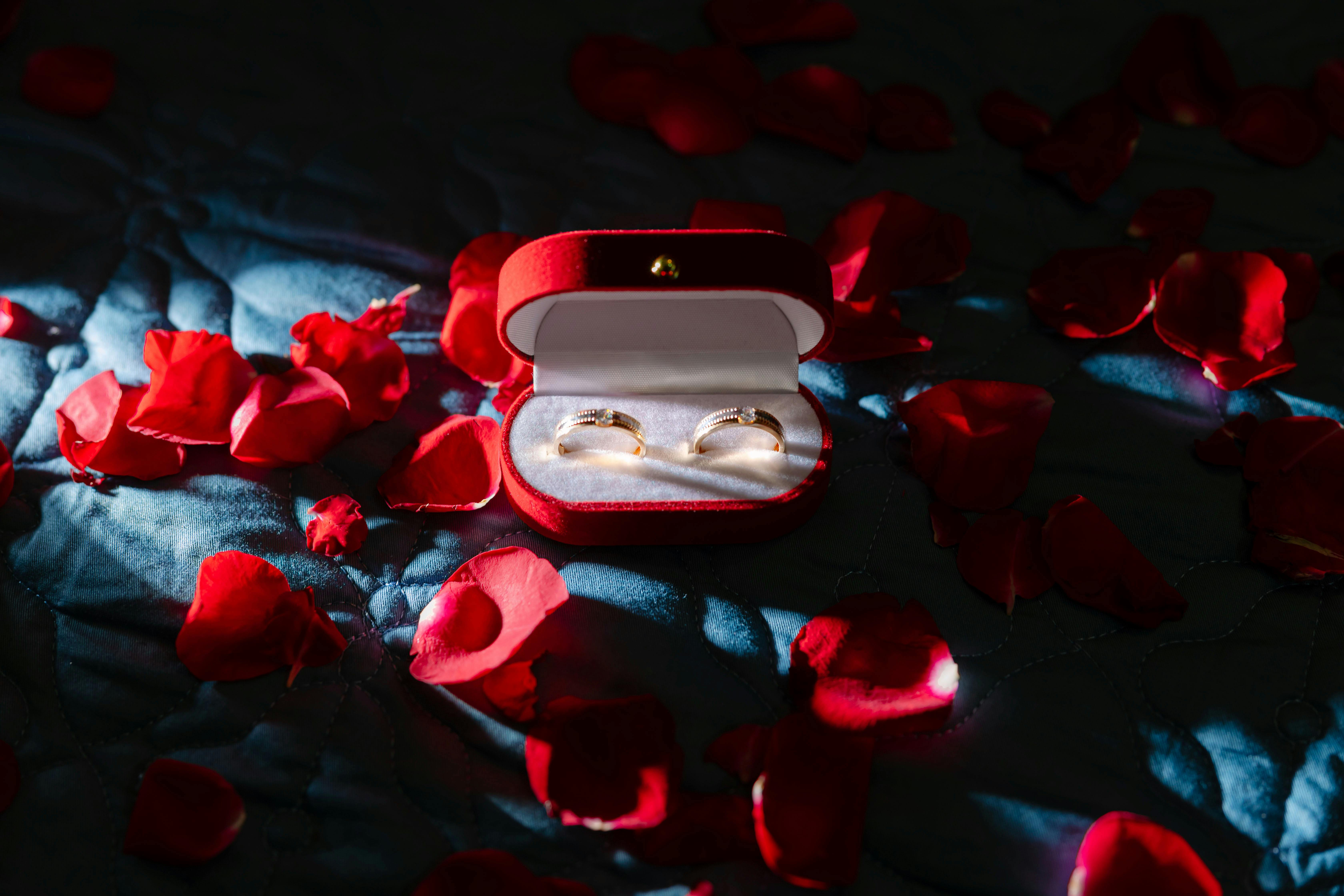 romantic wedding rings with red rose petals