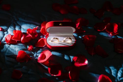 Free Golden wedding rings in a red velvet box surrounded by rose petals, perfect for romantic themes. Stock Photo