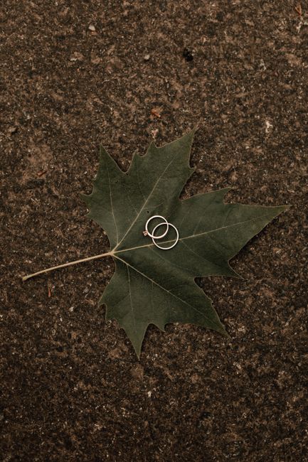 Artistic shot of wedding rings resting on a green leaf atop pavement, symbolizing love in nature.