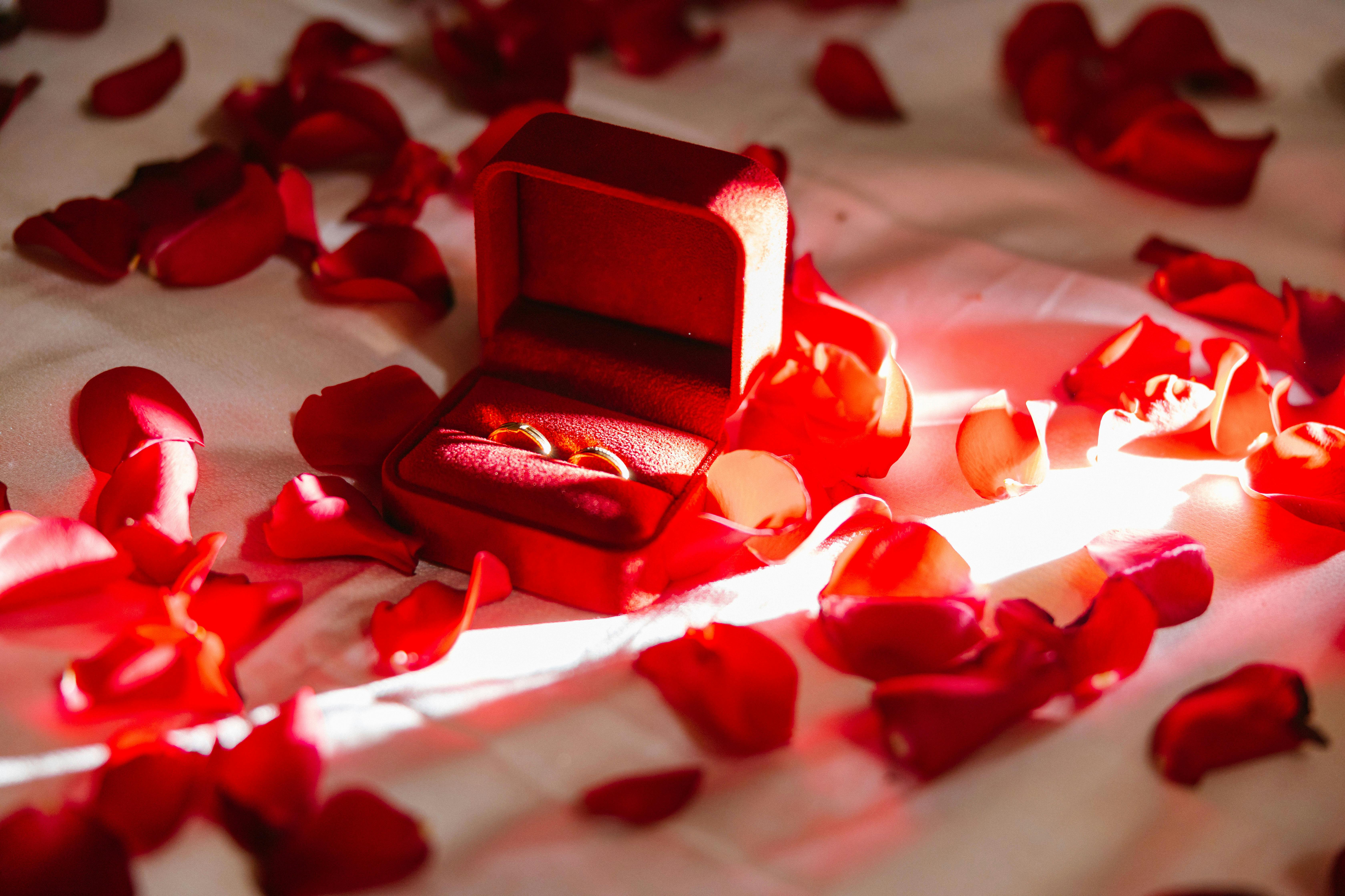 grátis Elegante caixa de veludo vermelho cercada por pétalas de rosa, perfeita para temas de casamento. Foto profissional