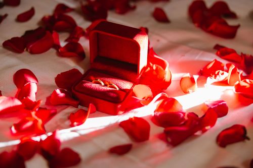 Free Elegant red velvet ring box surrounded by rose petals, perfect for wedding themes. Stock Photo