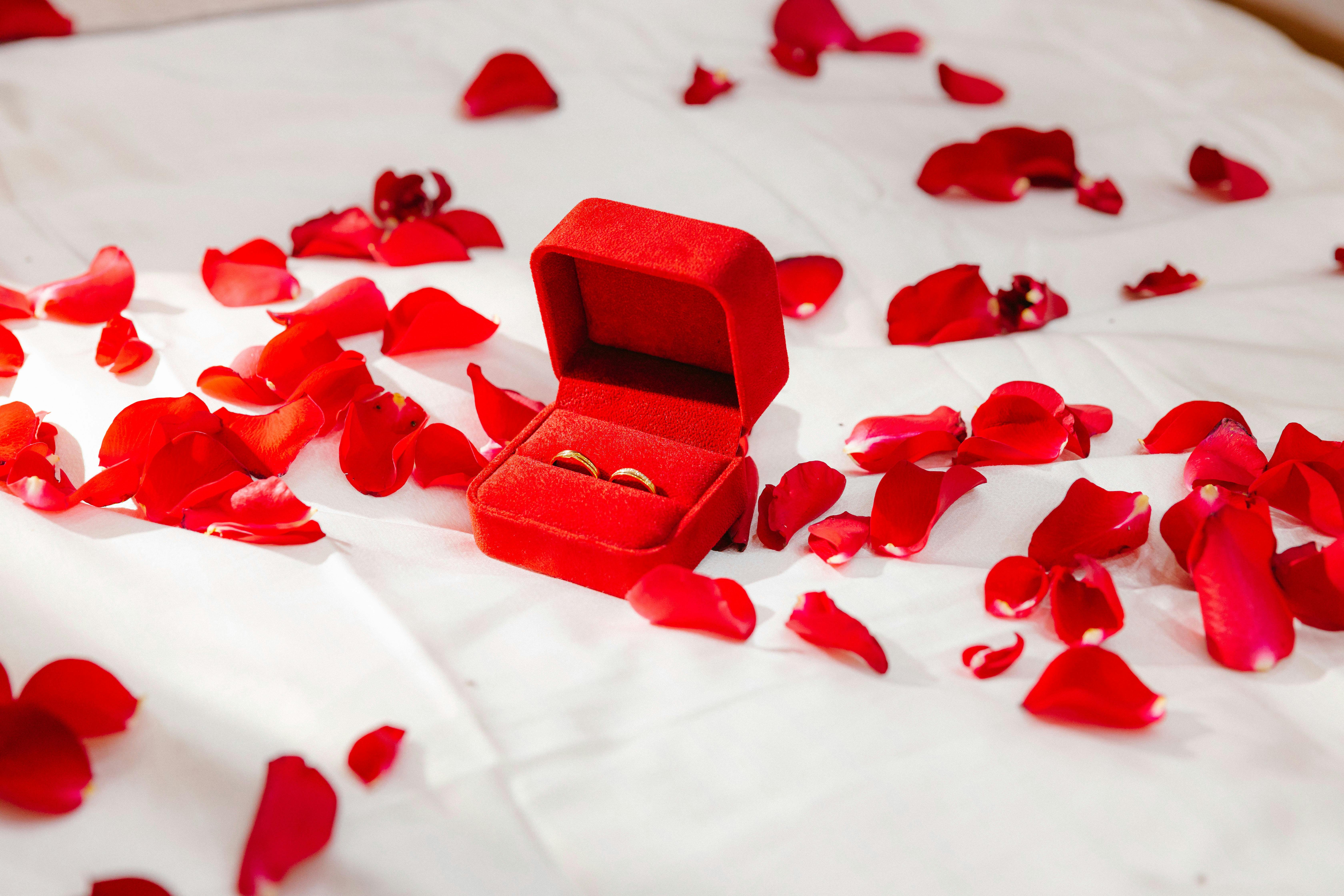 國際：閃婚驚喜！27歲男婚禮揭面紗竟是鬍鬚妻