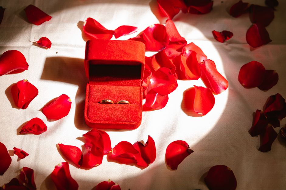 Close-up of wedding rings in a red velvet box surrounded by rose petals, evoking romance and elegance.
