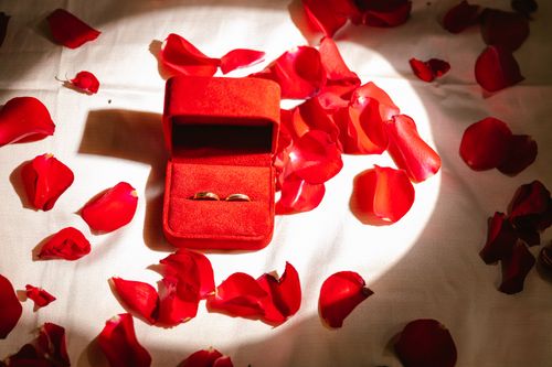 Free Close-up of wedding rings in a red velvet box surrounded by rose petals, evoking romance and elegance. Stock Photo
