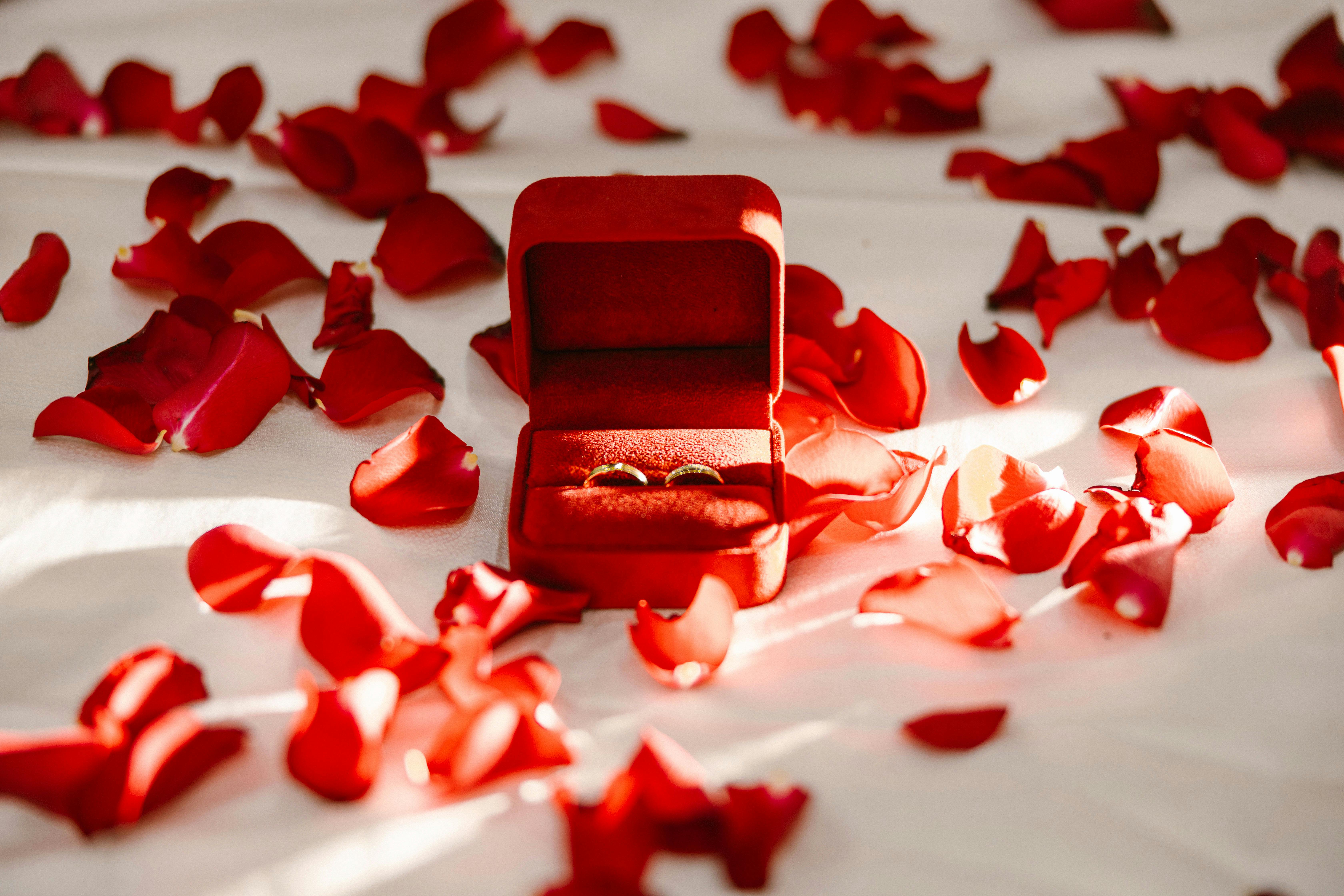 紅色盒子裡的金戒指被玫瑰花瓣包圍，象徵愛和浪漫。