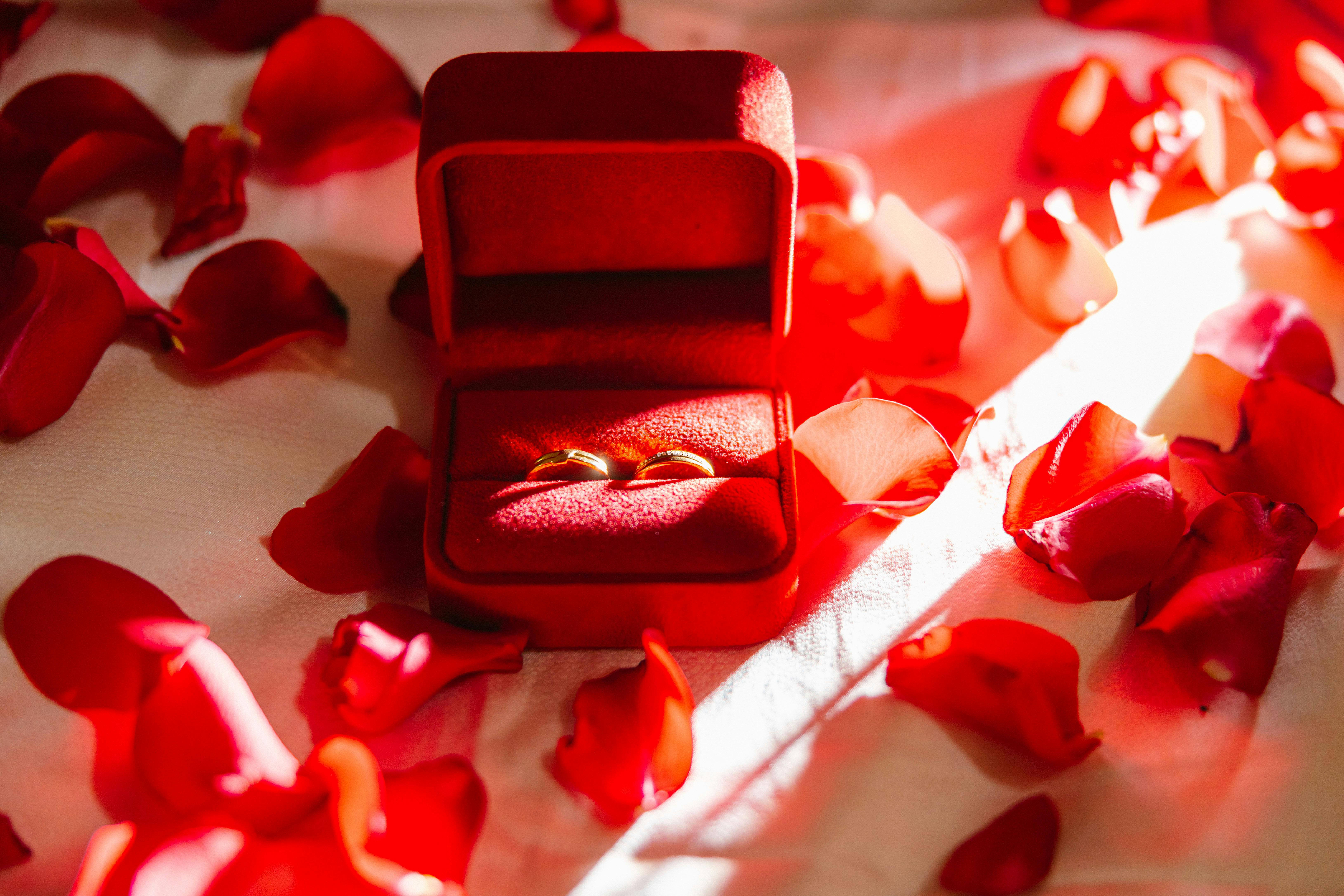 elegant wedding rings with red rose petals