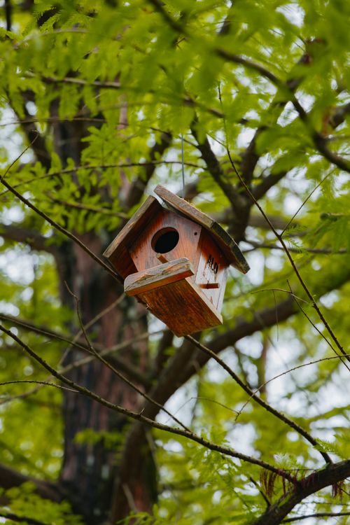 Free Wooden birdhouse hanging in a lush tree surrounded by fresh green leaves, capturing a serene spring setting. Stock Photo
