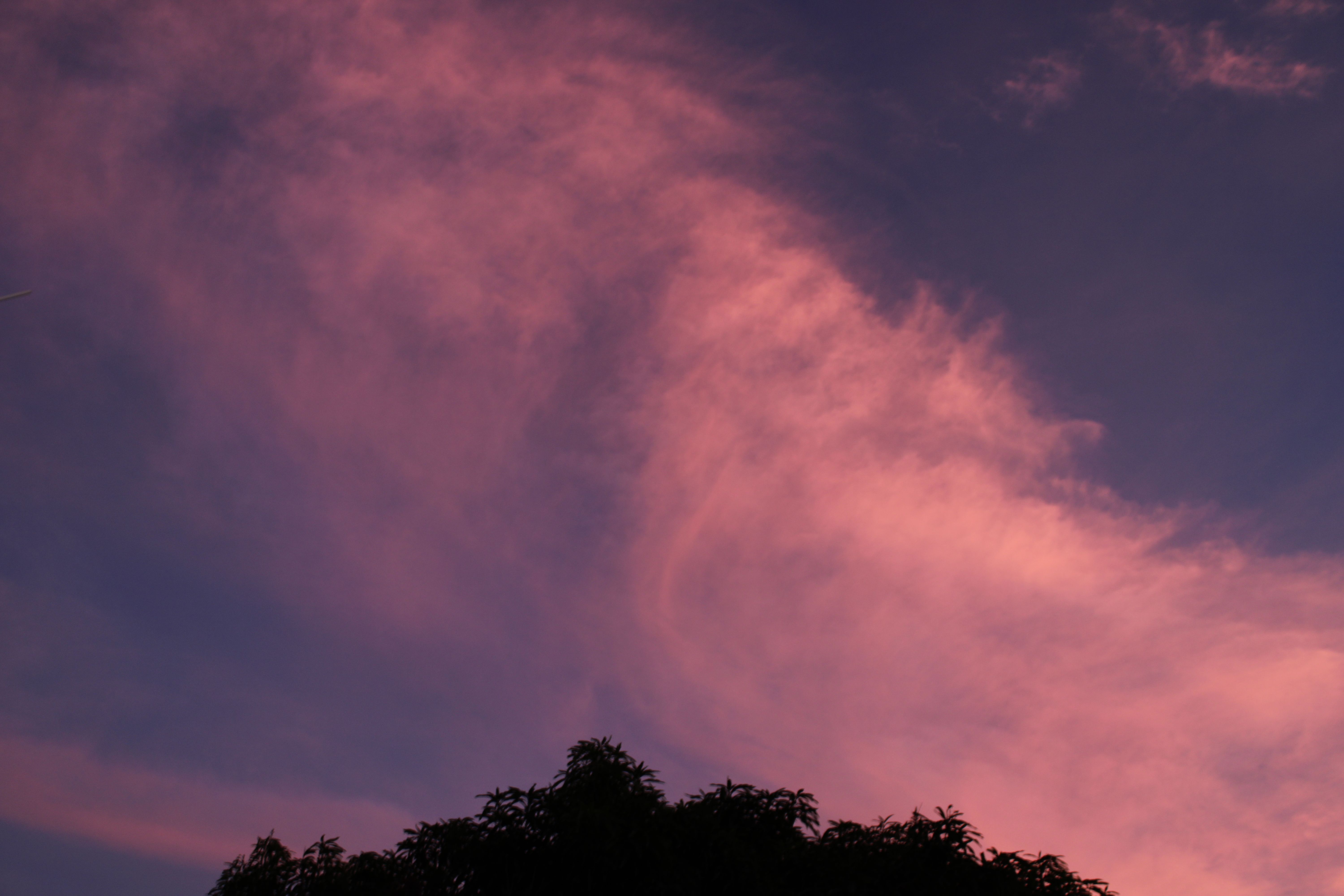Capture of vibrant pink clouds at twilight with tree silhouettes.