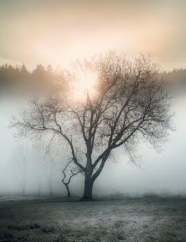 A tranquil scene of a silhouetted tree in fog at sunrise, capturing the serene beauty of Austria's winter landscape.
