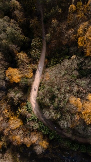A captivating aerial view of a serpentine trail through a golden autumn forest in Kocaeli, Türkiye.