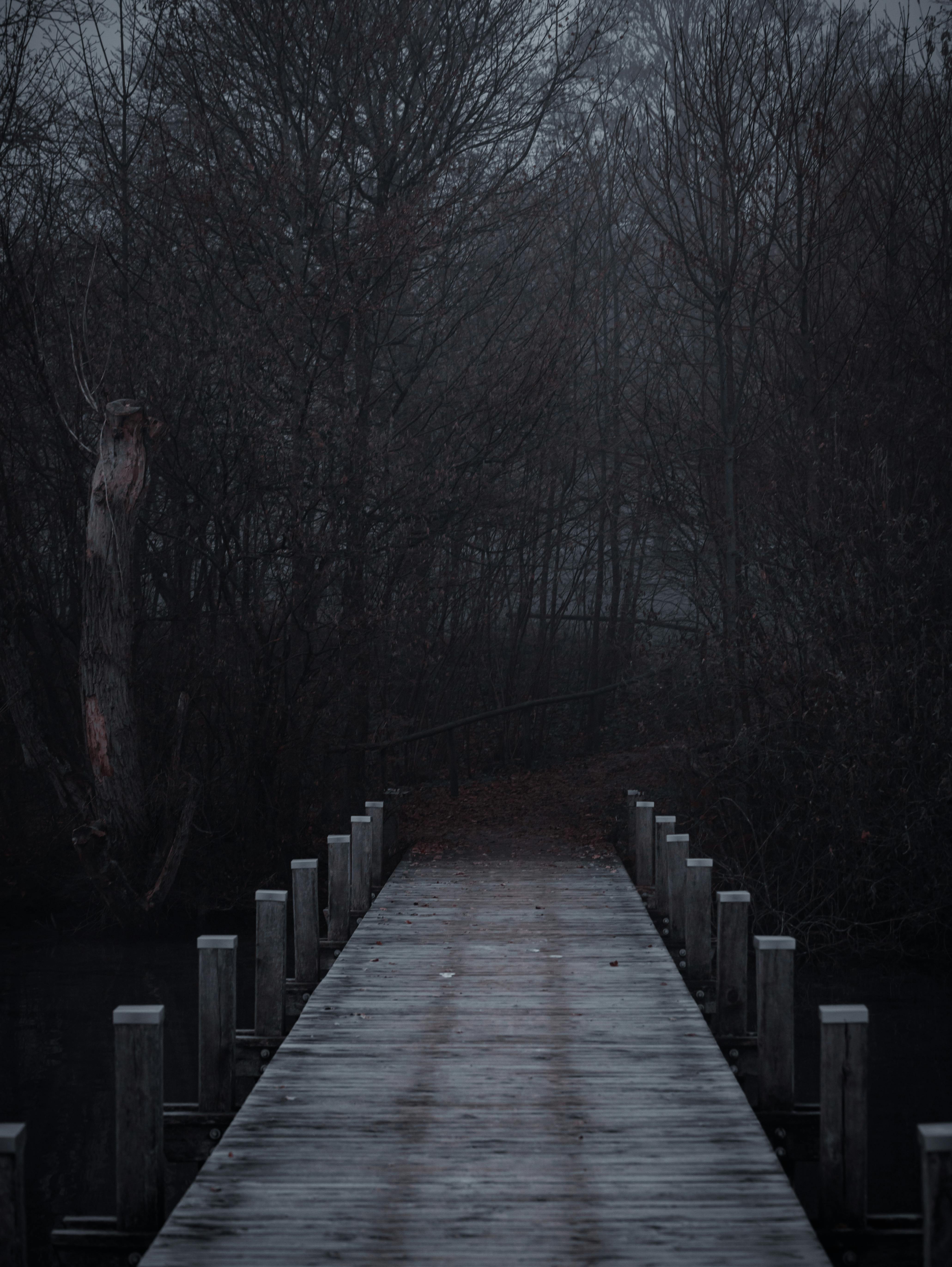 misty wooden pier in worthsee bavaria