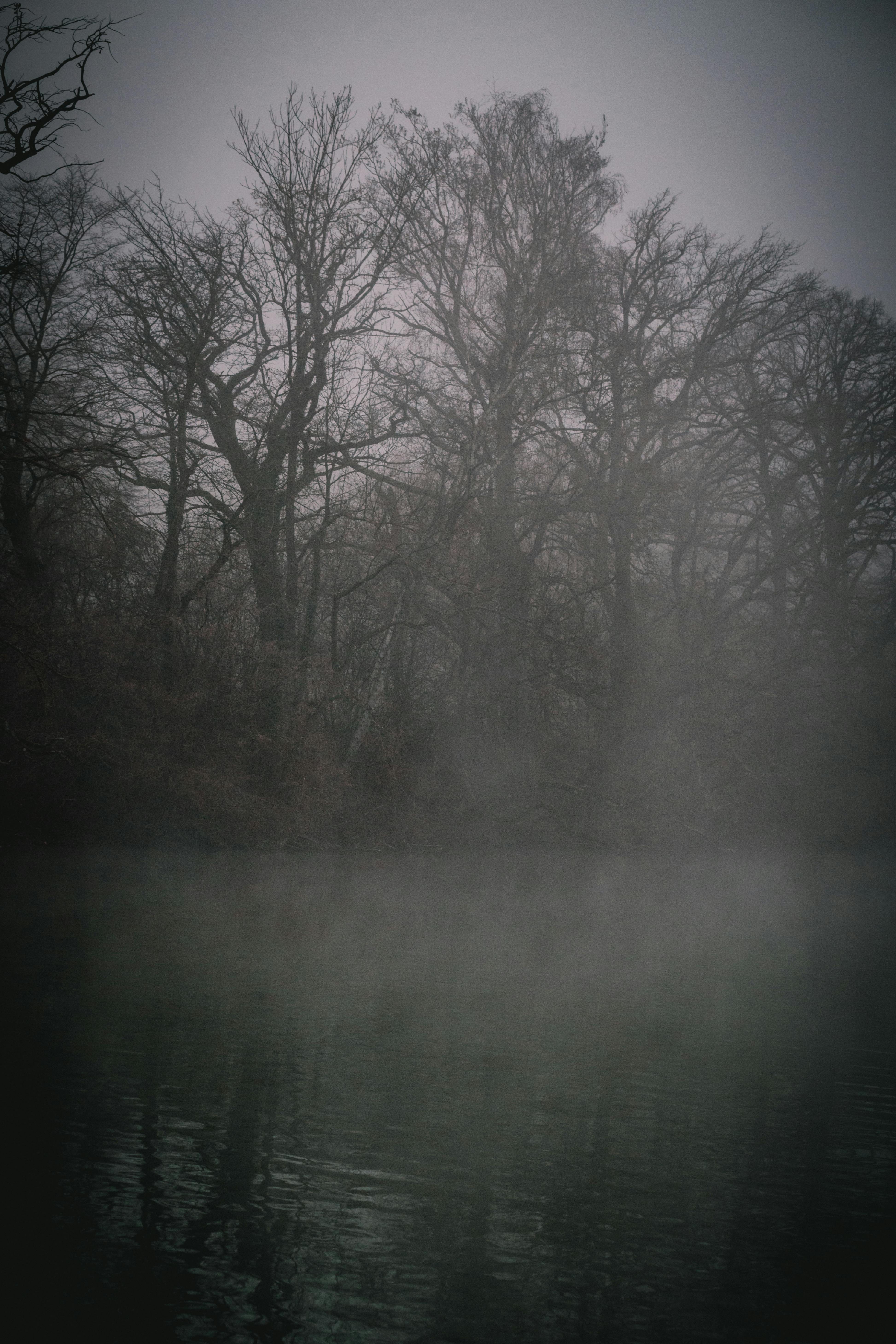 Wallpaper Cloud Photos, Download The BEST Free Wallpaper Cloud Stock