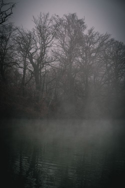 Free Misty winter scene featuring bare trees and reflections at Wörthsee, Bavaria, Germany. Stock Photo