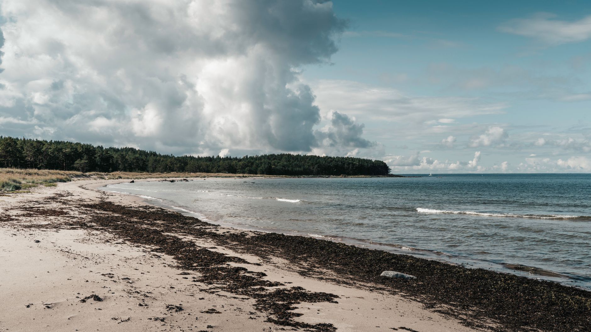 A tranquil untouched beach on Aegna Island, Estonia, along the Baltic Sea coastline.