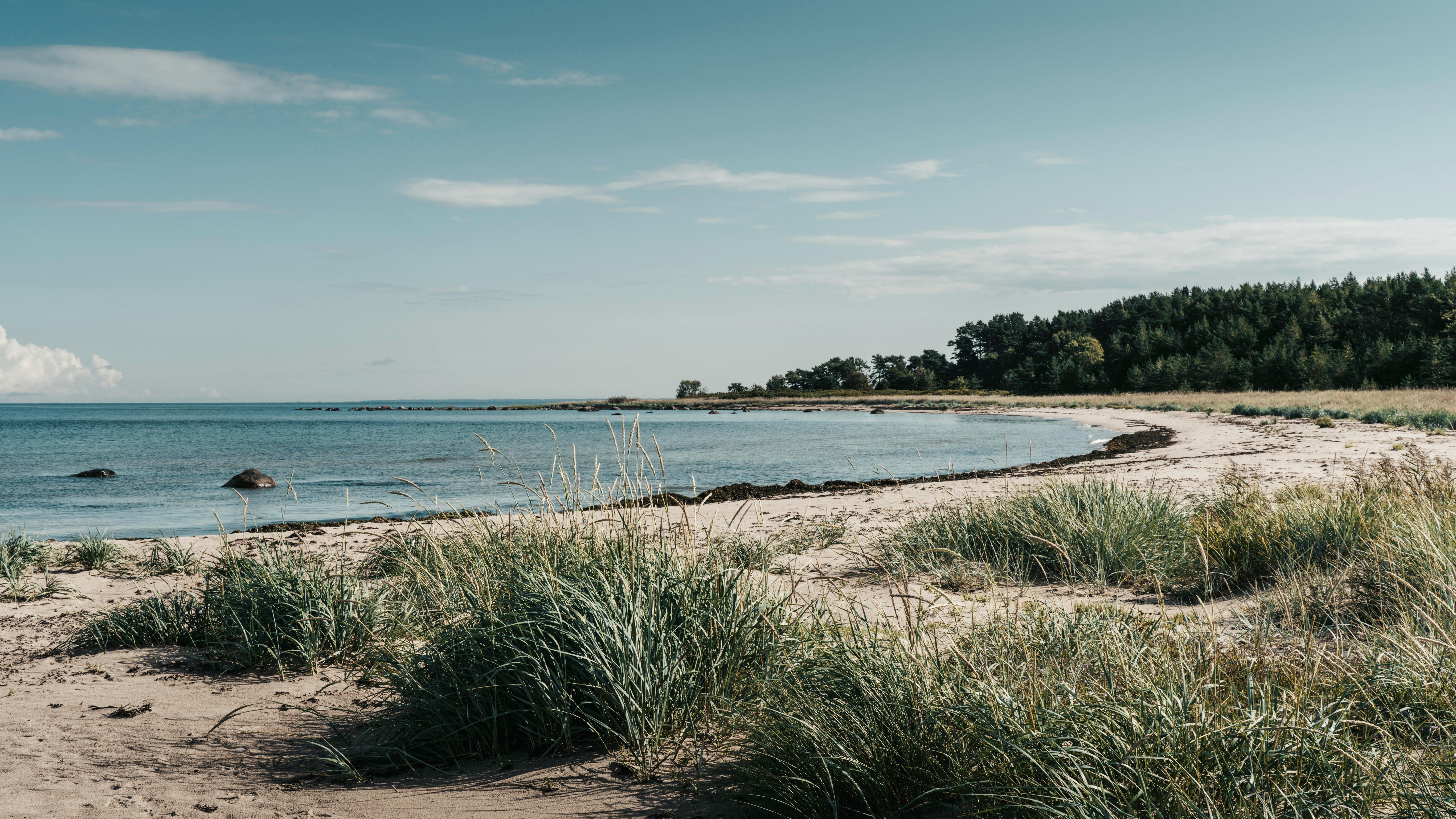 Peaceful view of an untouched beach and Baltic Sea from Aegna Island, Estonia.