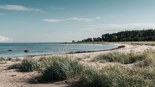 Free Peaceful view of an untouched beach and Baltic Sea from Aegna Island, Estonia. Stock Photo