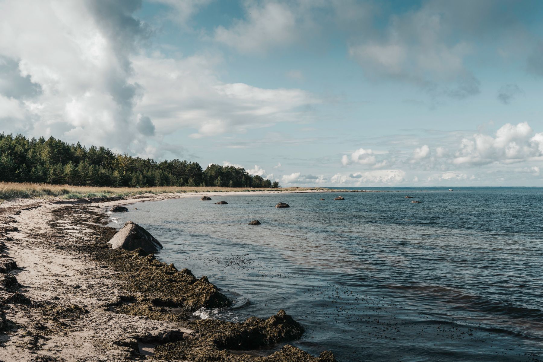 Golden sunset over a calm Baltic shoreline in Estonia