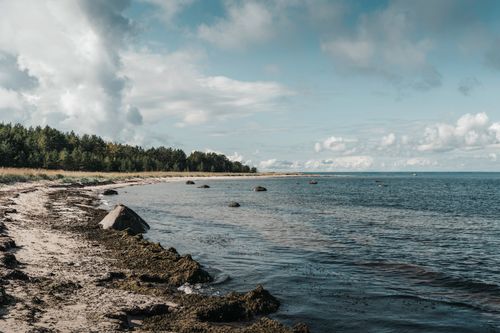 Free Peaceful untouched beach along the Baltic Sea with lush forests, perfect for nature and landscape enthusiasts. Stock Photo