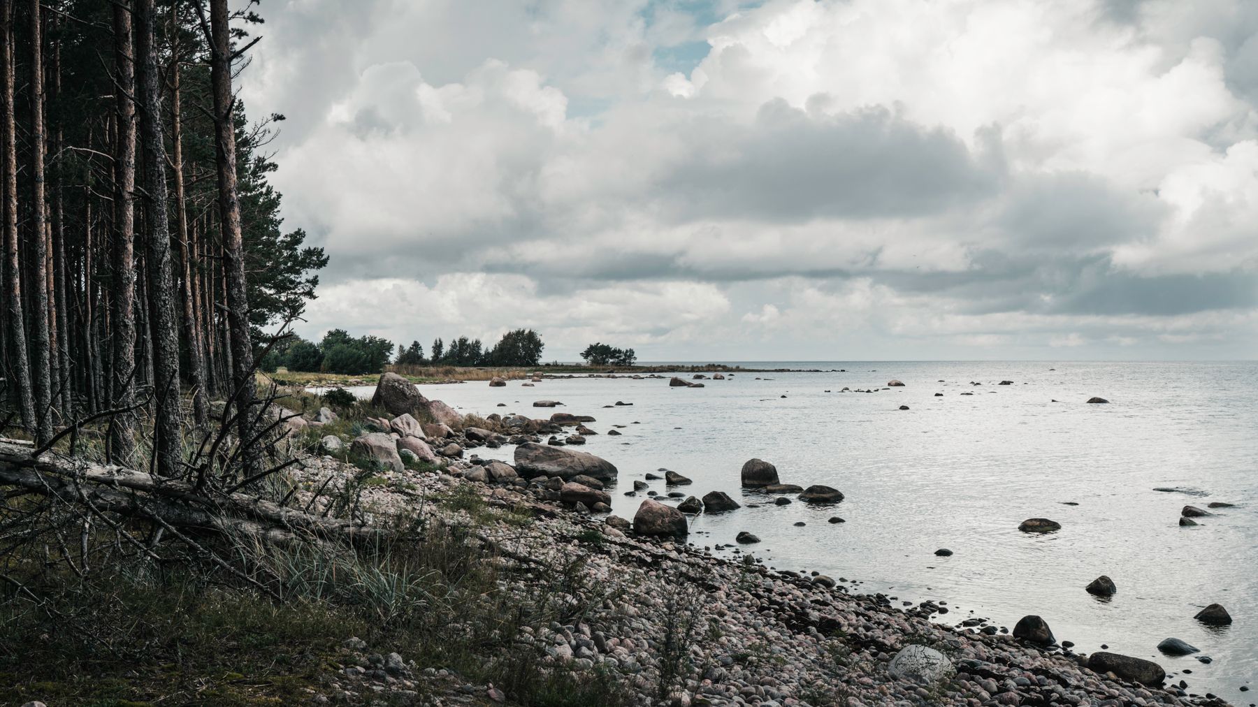 The 10 Best Harjumaa Hotels for an Unforgettable Estonian Escape (2026)