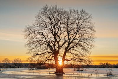 Winter Screensavers Photos, Download The BEST Free Winter Screensavers