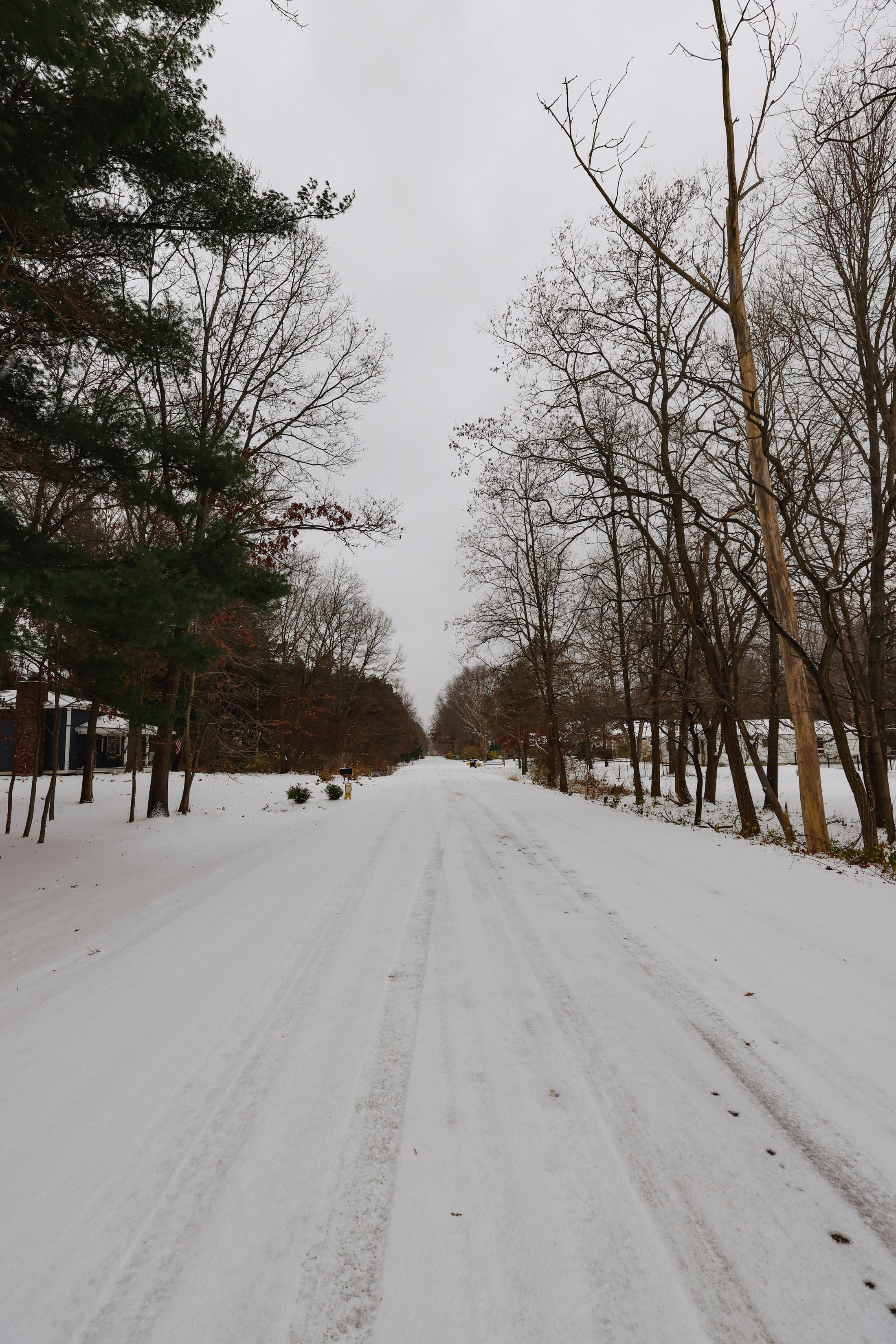 A snow-covered road through a Michigan forest