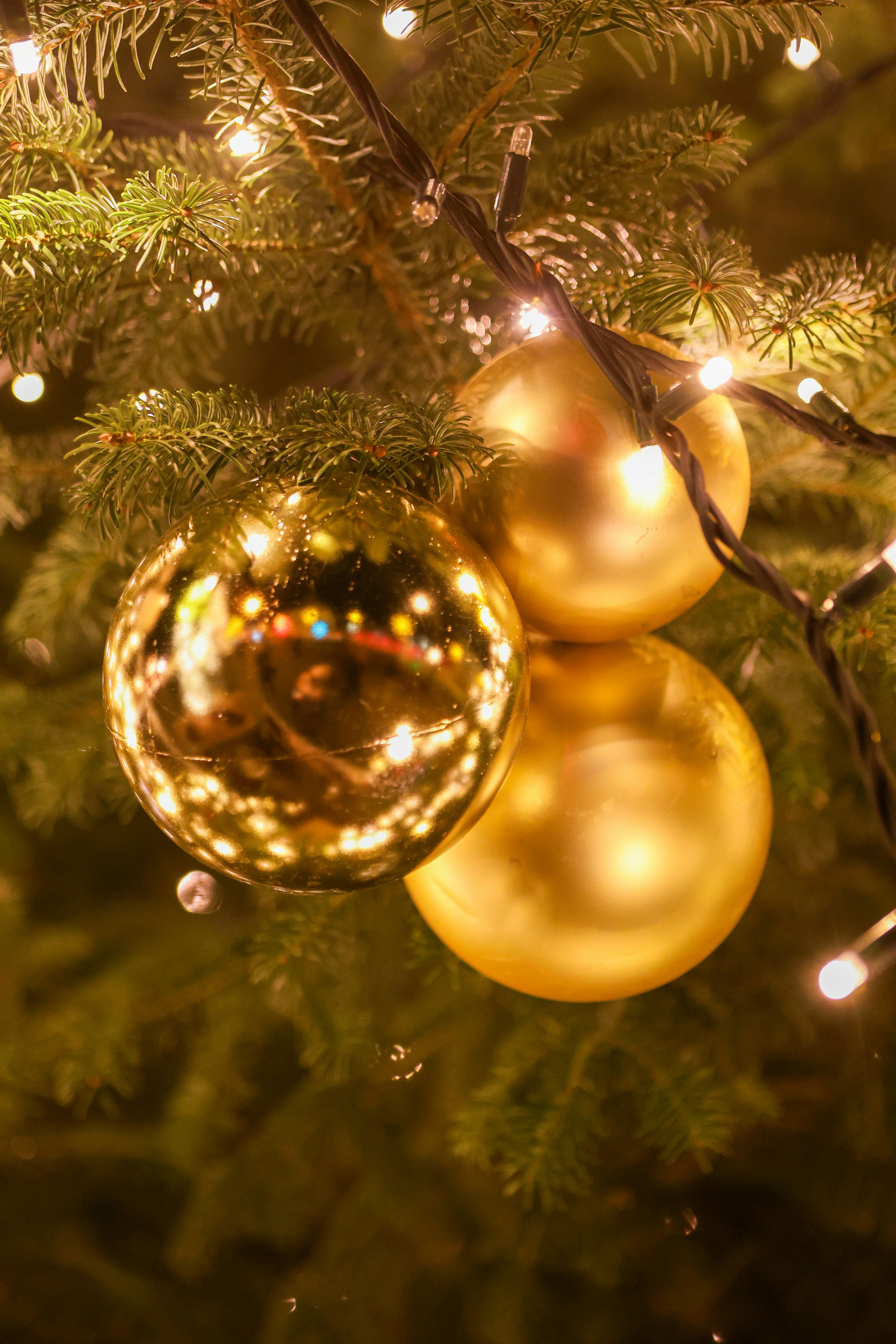 golden christmas ornaments on fir tree in berlin