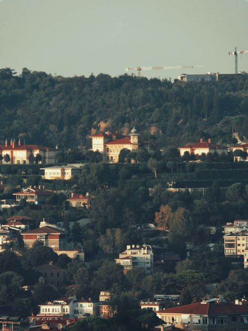Free A picturesque landscape showcasing a lush hillside with elegant historic homes. Stock Photo