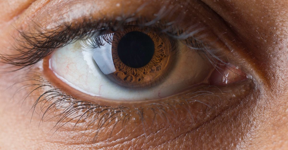 AIIMS Expands Cornea Retrieval Network with Three New Hospitals