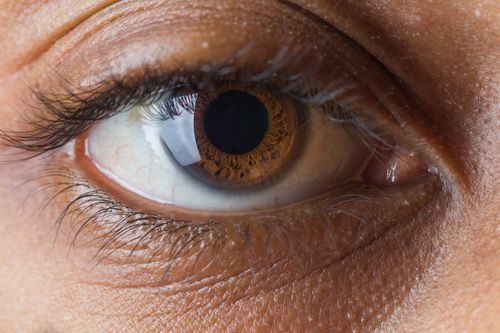 Free Macro shot of a human brown eye emphasizing the intricate iris details, eyelashes, and skin texture. Stock Photo