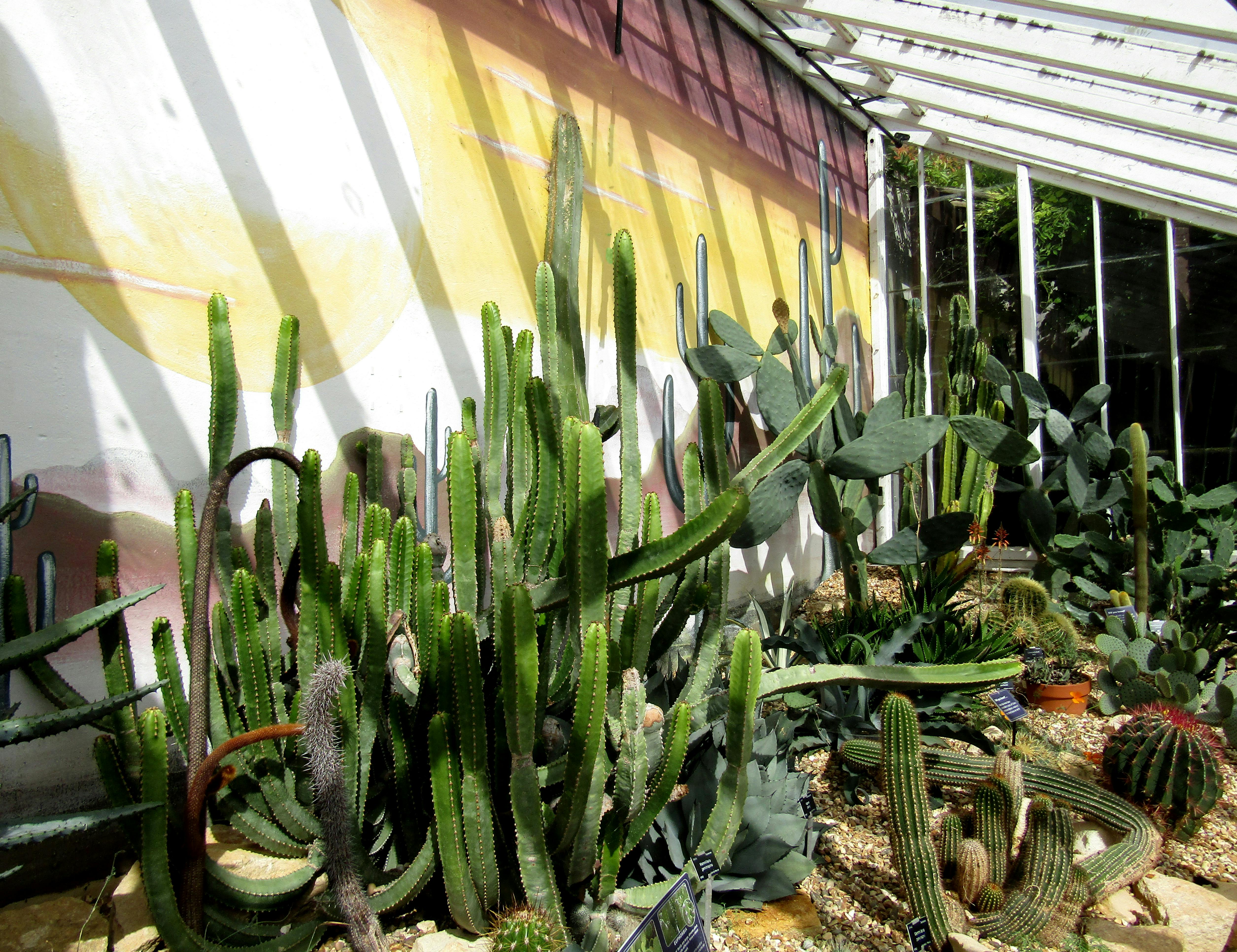 Beat the Chaos: Mastering Stress Management for a Calmer You cover image