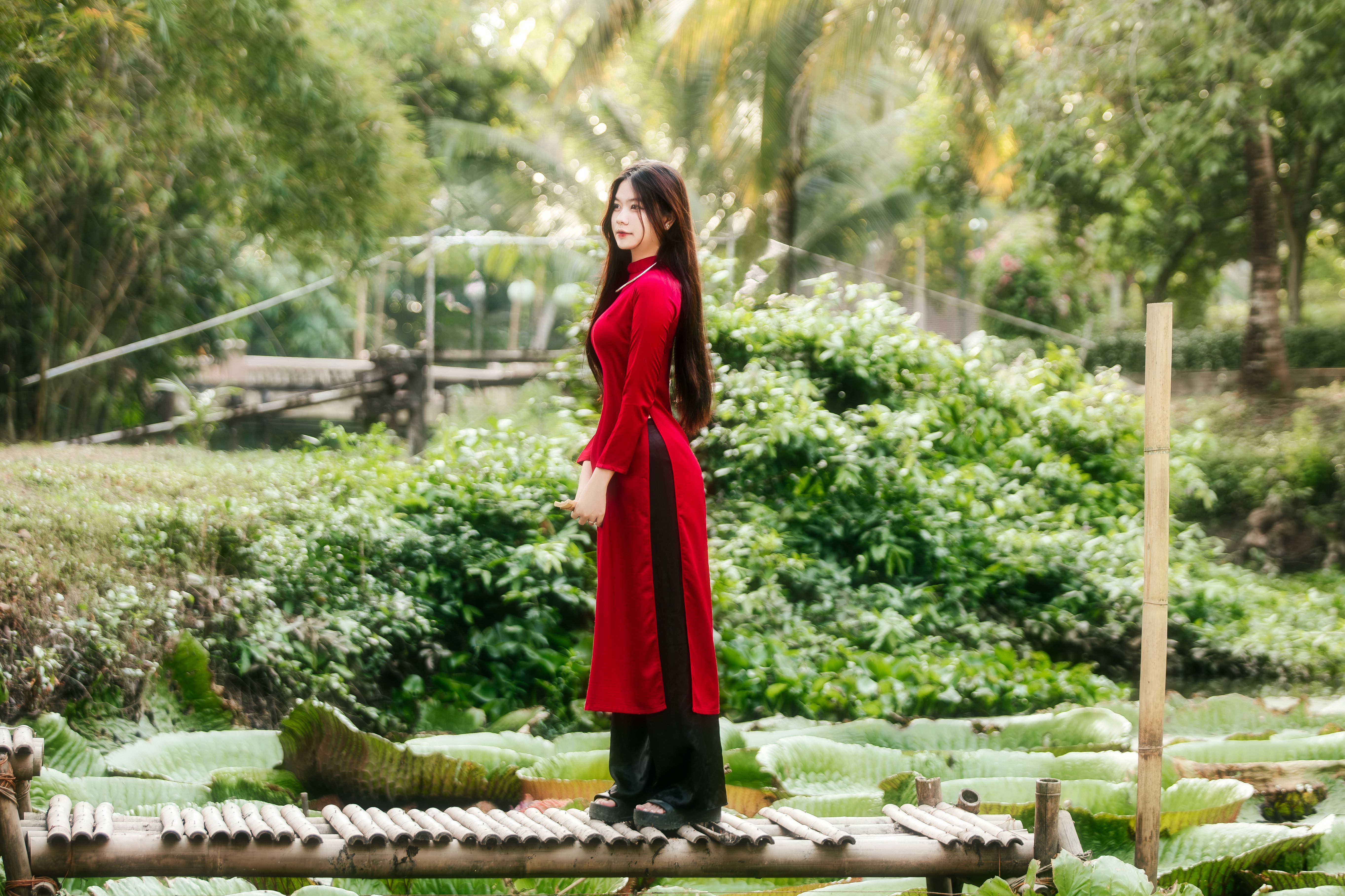 Woman in Red Traditional Dress on Wooden Bridge · Free Stock Photo