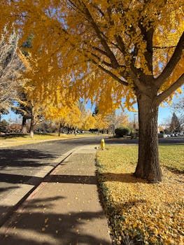 Miss Kobayashi's Dragon Maid Film: Sachiko Kobayashi Bergabung Sebagai Pengisi Suara Baru! - miss 1