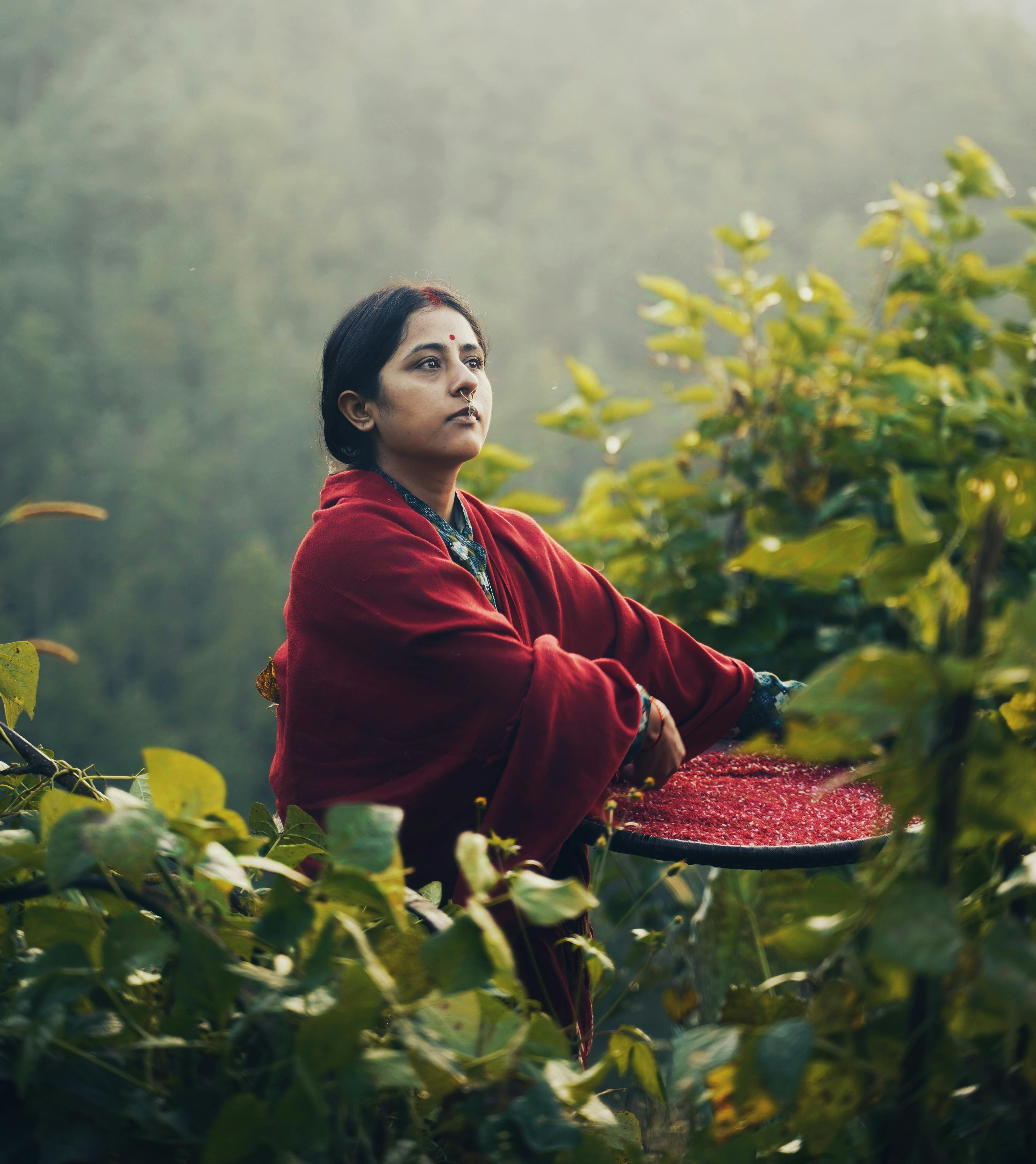 Indian Agriculture Fields