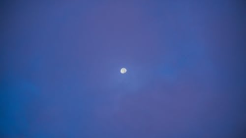 Základová fotografie zdarma na téma atmosféra, luna, lunární