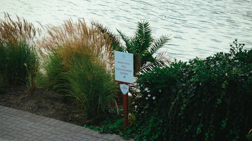 綠葉植物附近的白色標牌