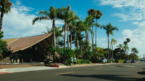 Photo of People Walking Near the Palm Trees