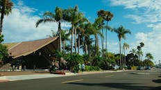 一条阳光明媚的城市街道两旁种植着棕榈树，以现代建筑和步行区为特色