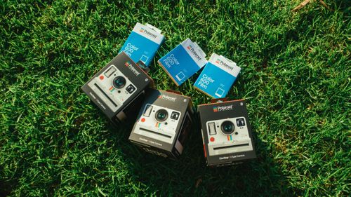 Free Three Polaroid cameras and films on vibrant green grass. Stock Photo