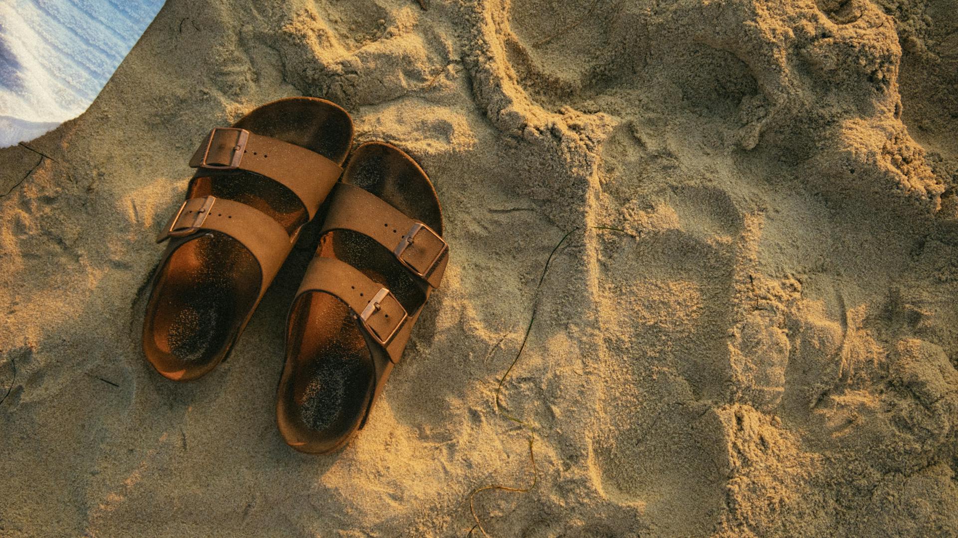 Pair of Brown Footbed Sandals