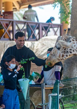 A family enjoys feeding a giraffe at a zoo, offering leafy greens to the animal.