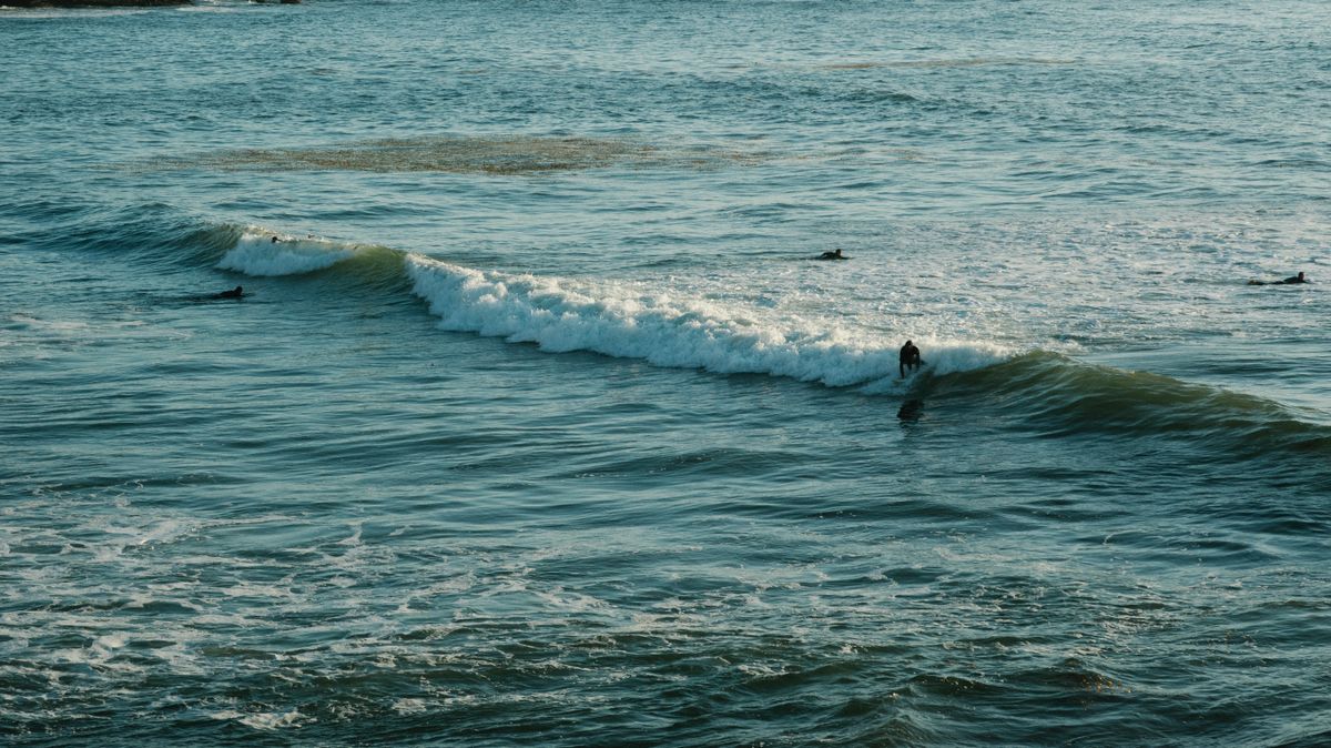 Surfistas en un día soleado de olas