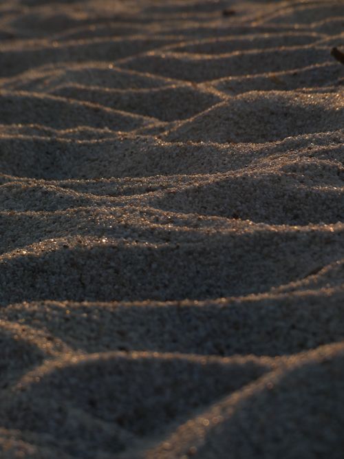 Free Detailed close-up of sand patterns illuminated by sunlight creating texture. Stock Photo