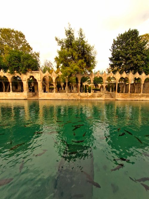 Free A serene fish pond reflecting historic stone arches surrounded by lush greenery. Stock Photo