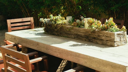 Rectangular Wooden Plant Box On Table