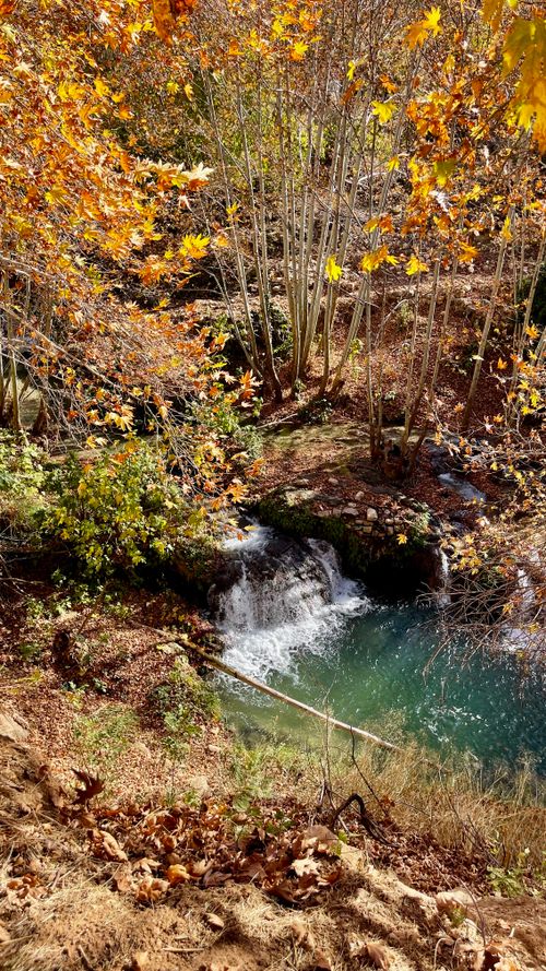 Free Idyllic waterfall surrounded by vibrant fall foliage in a peaceful forest setting. Stock Photo