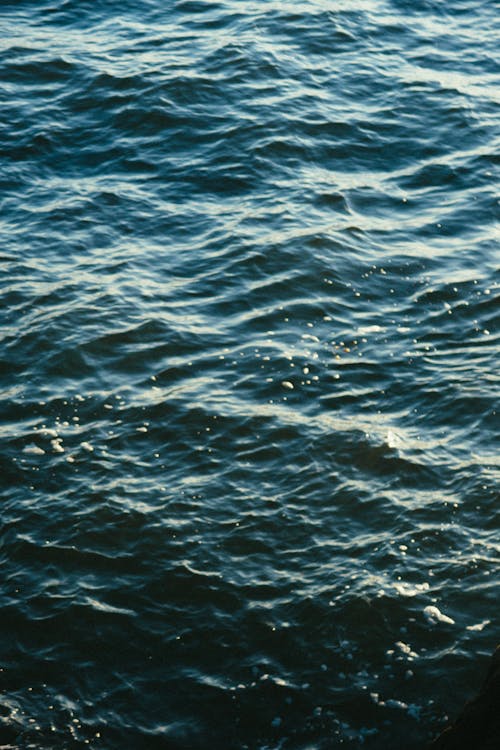 Photo of Body of Water