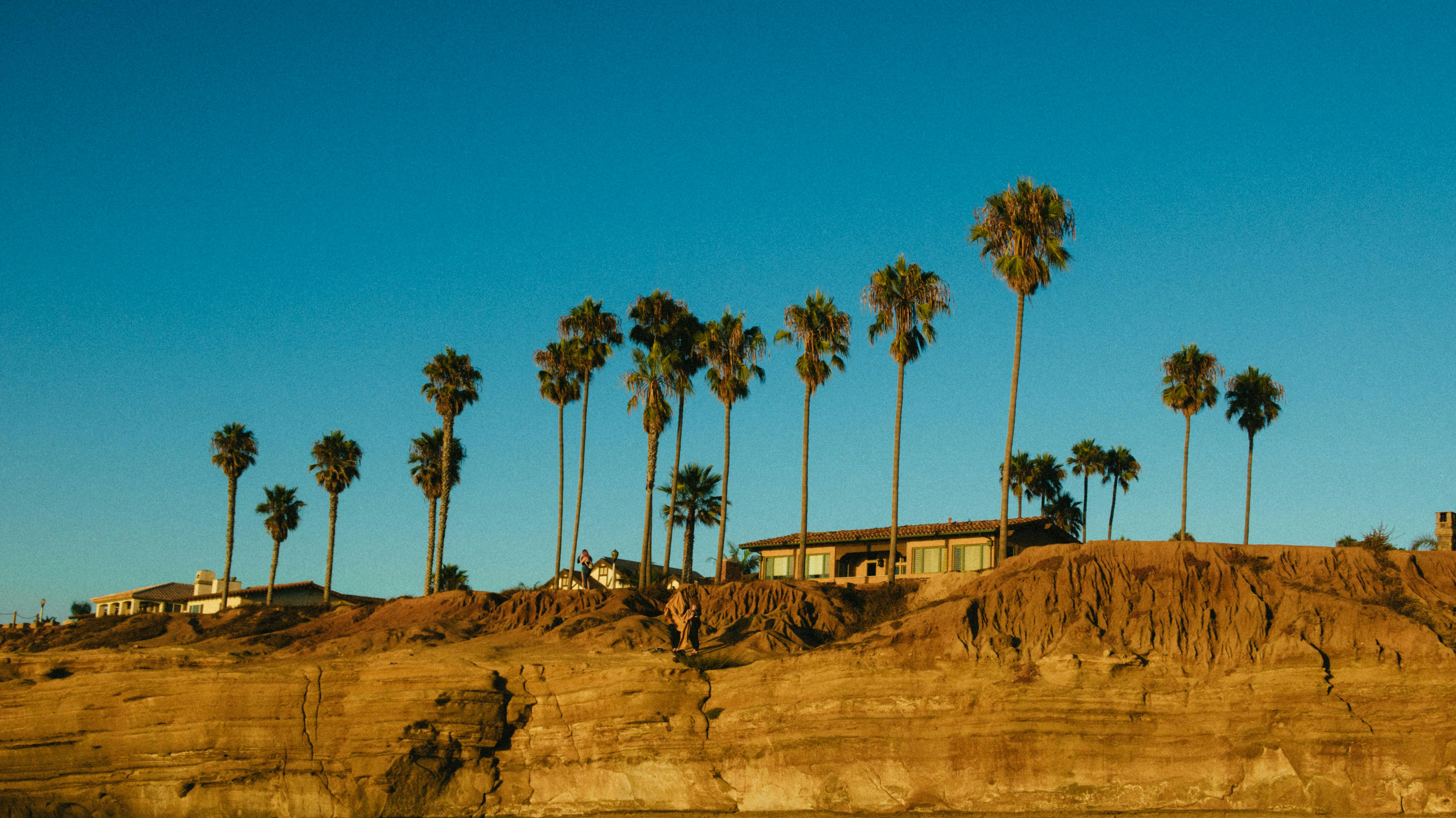 low angle photography of trees and houses