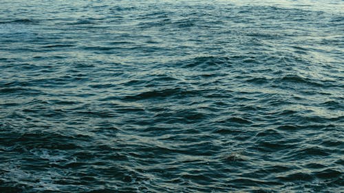 무료 진한 푸른 바다 스톡 사진