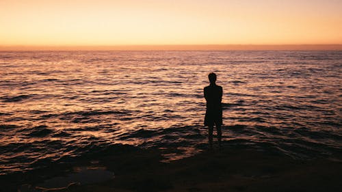 Silhouette Photo Of Man Standing On Seashore