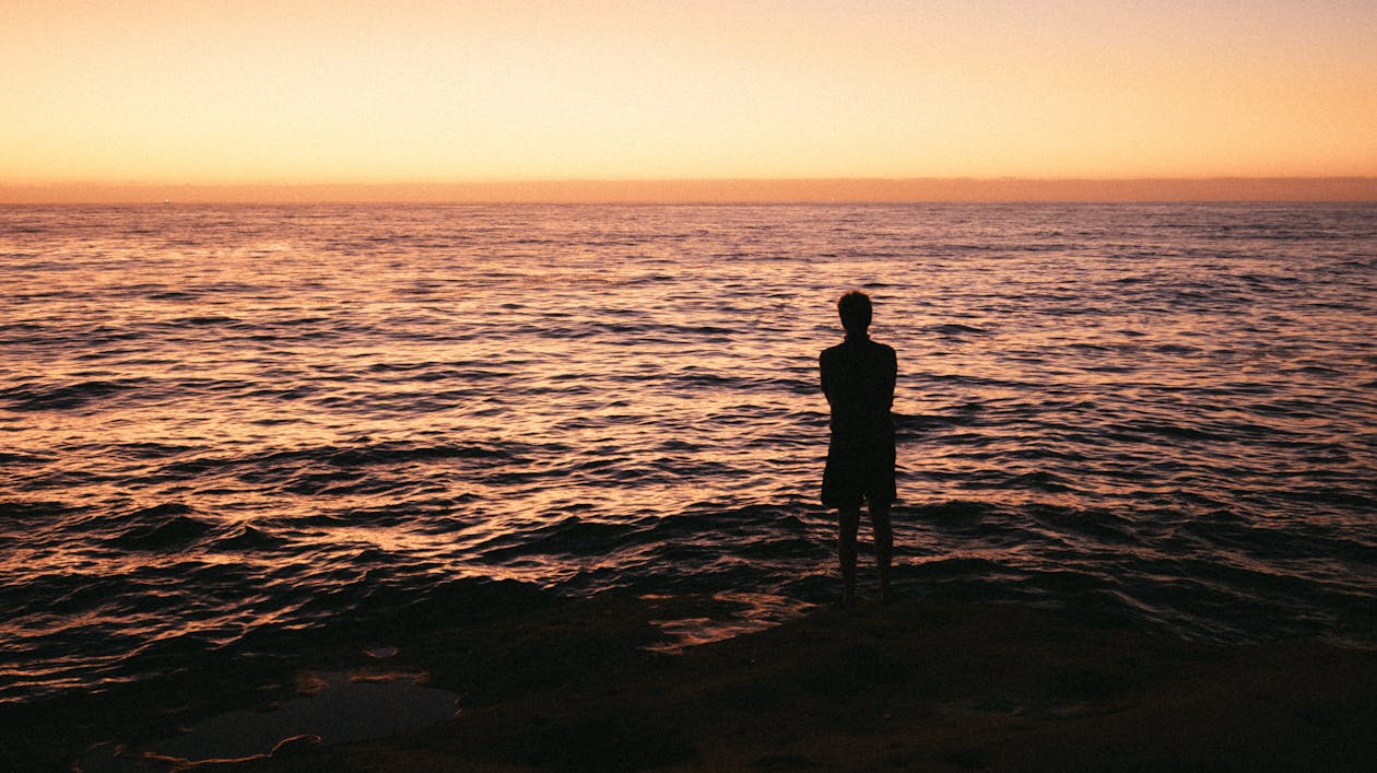 Free Silhouette Photo Of Man Standing On Seashore Stock Photo